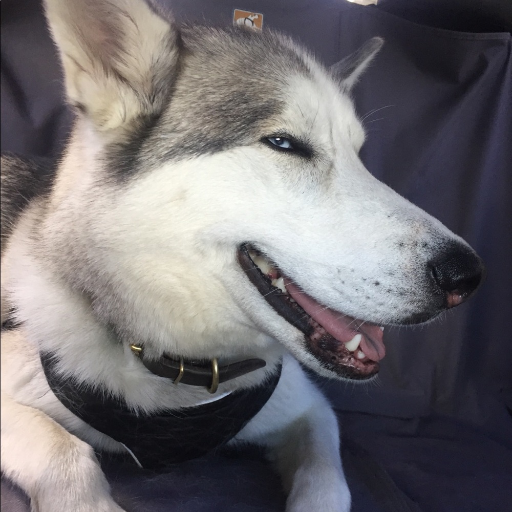 Meet your Posher, Caitlane